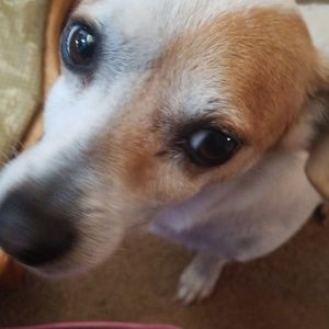 Meet your Posher, Tonya